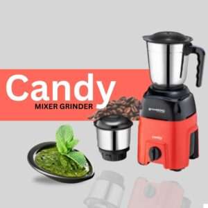 best mixer grinder in india